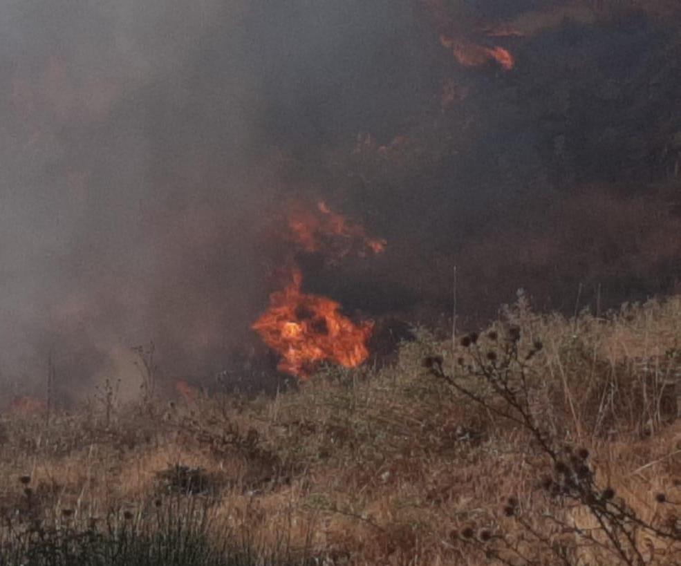 حريق كبير في أحراج فاريا… النيران تلامس مجمع شاليهات